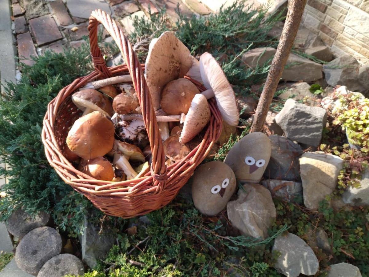 Gospodarstwo Agroturystyczne Borowkowy Bukiet Smakow Iwkowa 外观 照片