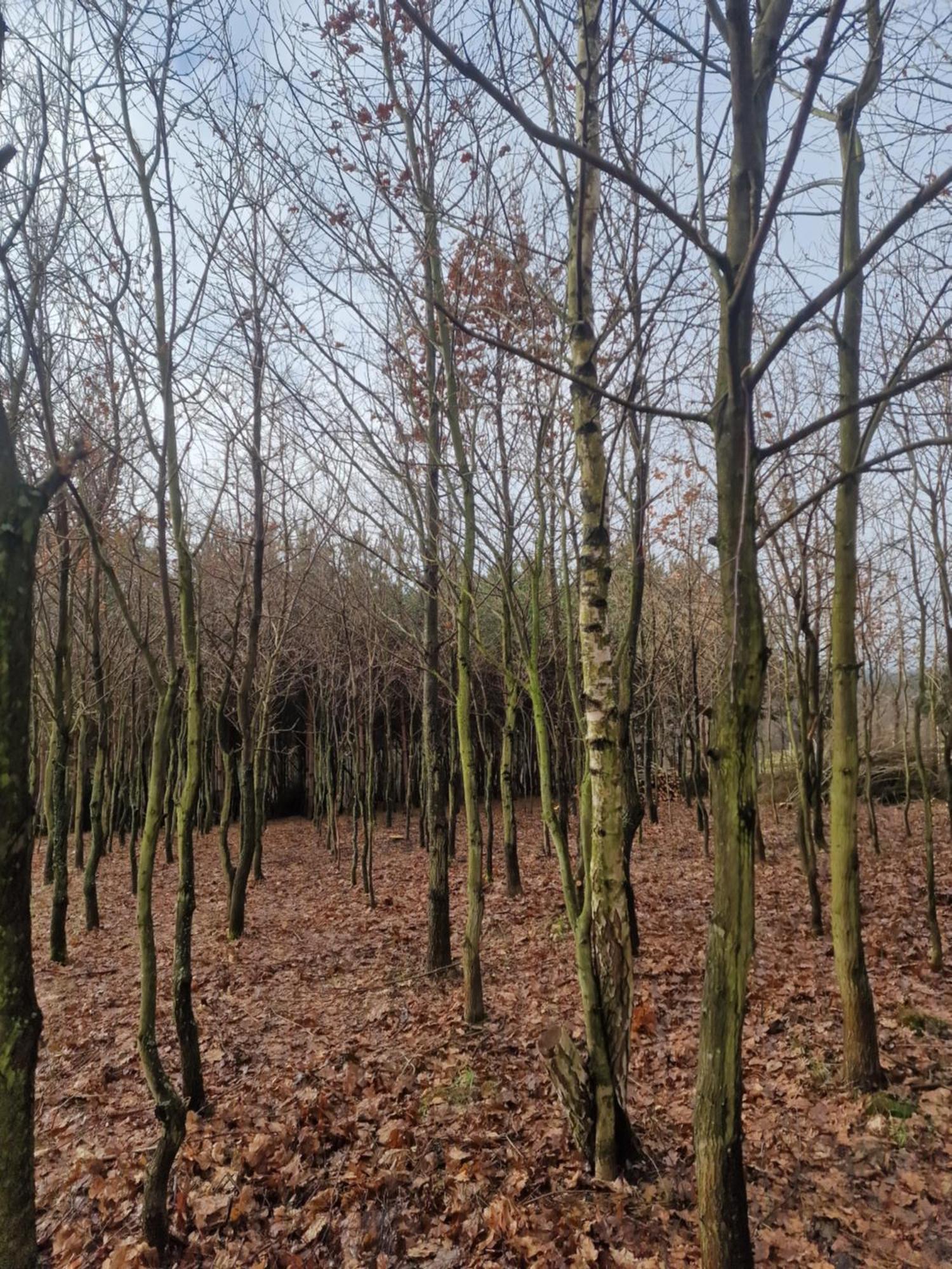 Gospodarstwo Agroturystyczne Borowkowy Bukiet Smakow Iwkowa 外观 照片