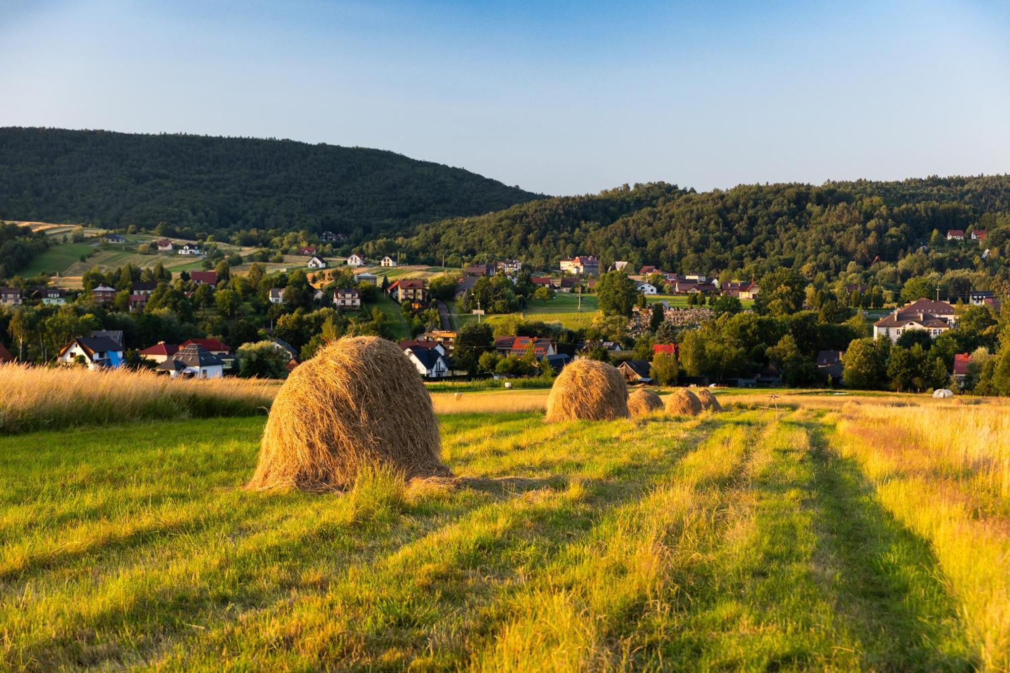 Gospodarstwo Agroturystyczne Borowkowy Bukiet Smakow Iwkowa 外观 照片